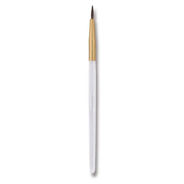 Pensula buze
