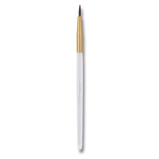 Pensula buze