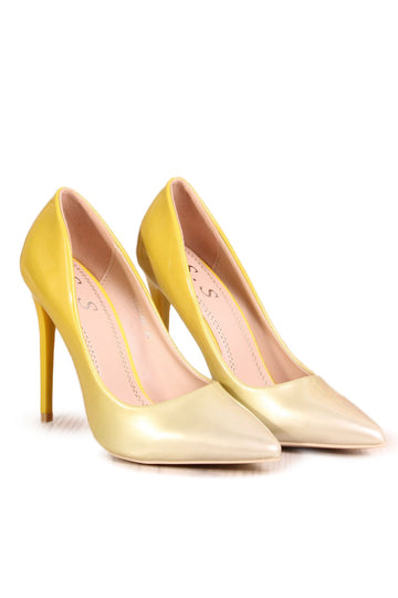 Pantofi stiletto model in degrade PDS12-9